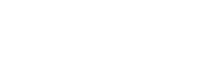 王力安防